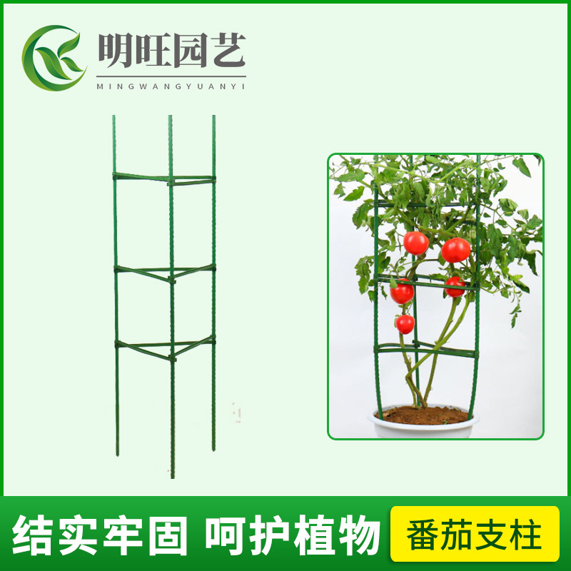 Soporte de tomate soporte de flor soporte de tomate planta de jardín tubo de acero recubierto de plástico soporte de uva Rosa Stand balcón