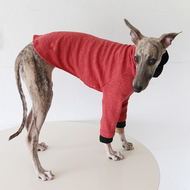 Petstyle 双色袖领打底衫 意大利小灵缇惠比特宠物衣服跨境亚马逊|undefined