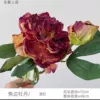 Бордовый (Yuelun Mudan)
