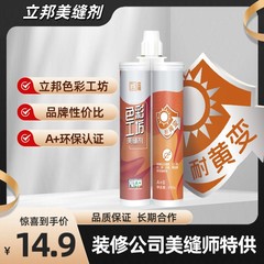 立邦美缝剤 タイルカラーワークショップ 防カビ・抗菌 二液型目地材 本物の磁器接着剤 防水・防汚