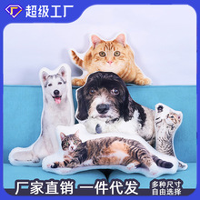 宠物卡通表情包异形抱枕创意仿真毛绒动漫人型公仔靠枕靠垫批发