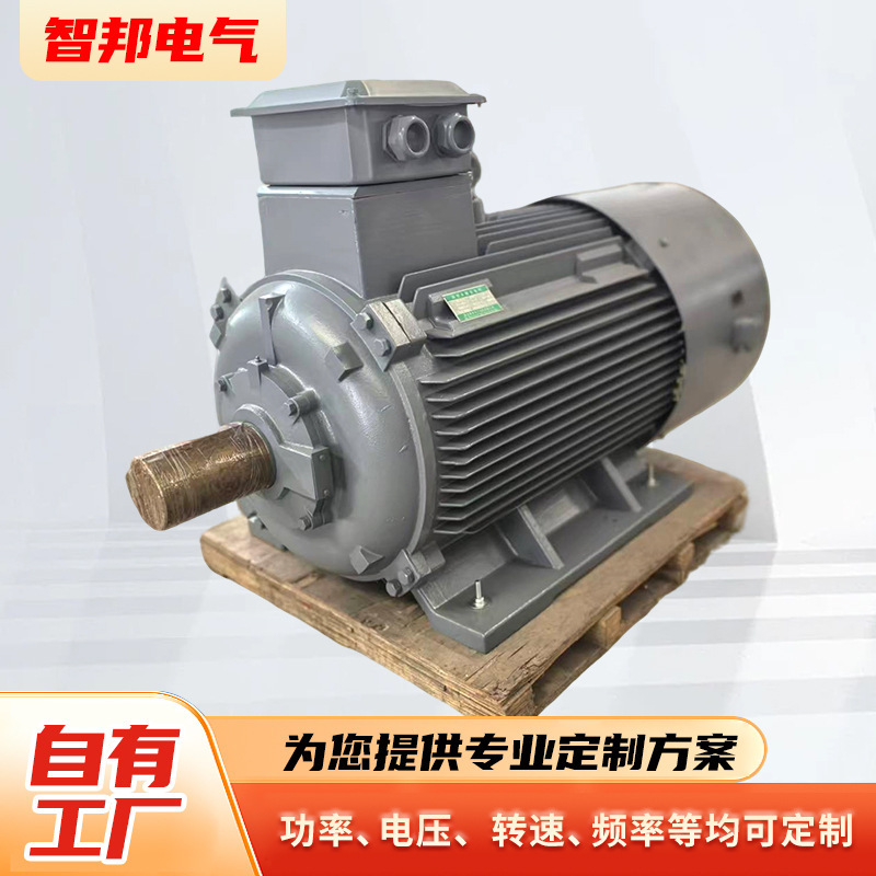 Low-Speed Hydroelectric Permanent Magnet Generator Customized for Direct Drive Without a Gearbox, with High Starting Torque. Hydroelectric Generator