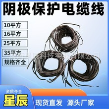 ����ꖘO������|��������|YJV VV-0.6/1KV-1&times;10mmꎘO���o��