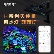 ꖹ�׺�LED�����~��ɺ�����{���{ɫ�ճ�����ܛ�w�����a���