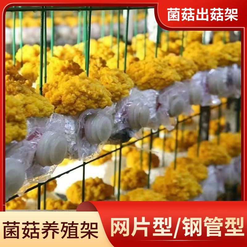 Стеллаж для выращивания грибов в теплице, многоярусная полка для культивирования съедобных грибов, стеллаж для культивации грибов