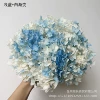 Light blue+white gradient