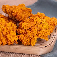 ����¸�؛�o���S��������Ҝ�