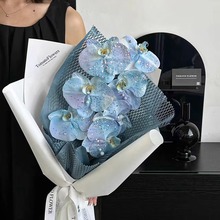 �����������~��ϵ����������Ųʻ��^�b�ɫ��ۄ����ֹ����b