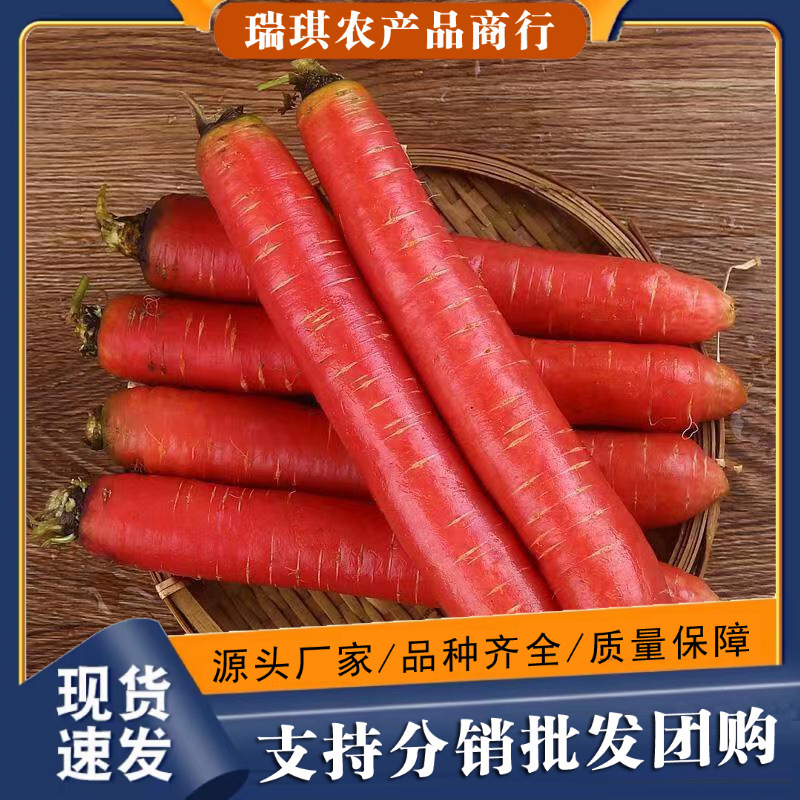 Shaanxi Sandy Soil Fruits, Red Carrots, 5 Pounds, 3 Red Heart Crispy Sweet Fruits for Eating Raw, Fresh Carrots, Sandy Soil Vegetables