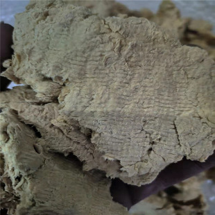 Manufacturer Processes and Sells Coated Paper Pulp, Natural Pulp, Yellow Pulp, Virgin Wood Pulp, Paper Cup Pulp, White Pulp