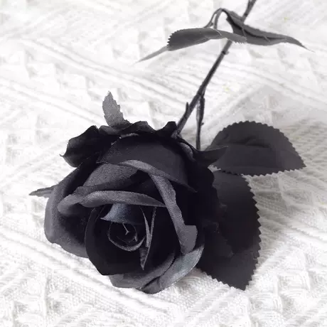 All Black (Silk Edition)