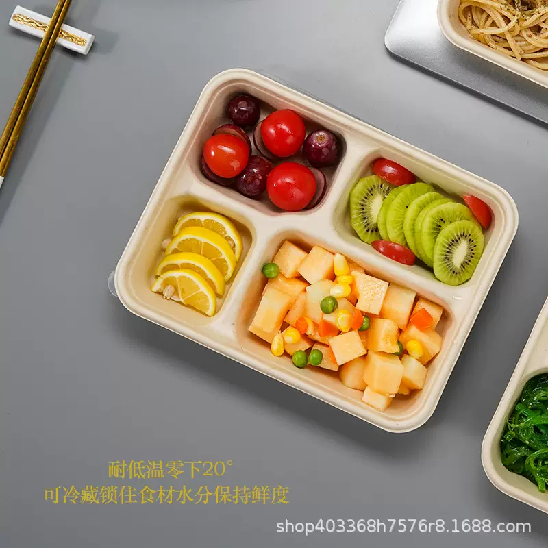 一次性餐盒甘蔗浆可降解多格餐盒三格四五六格外卖打包盒厂家批发