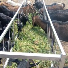 ����Ӷ�λ�����w�Ӻ�ݔ�͎��zƤ�ײ����Ҏģ�Bֳ���ÏS��ֱ�N