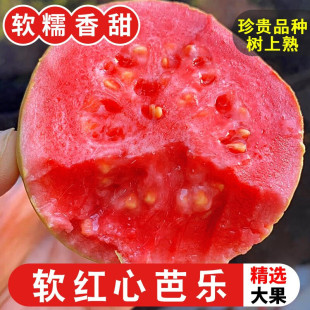 �V�ݽ������l�����t�İŘ�ܛŴ����ʯ��ˮ���Fժ������������