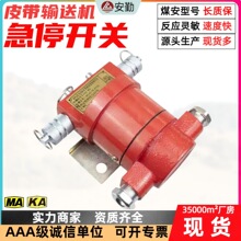 Ƥ���\ݔ�C��ͣ�_�P Ƥ���C���b��KHJ0.2/24�V�ñ����ͼ�ͣ�_�P