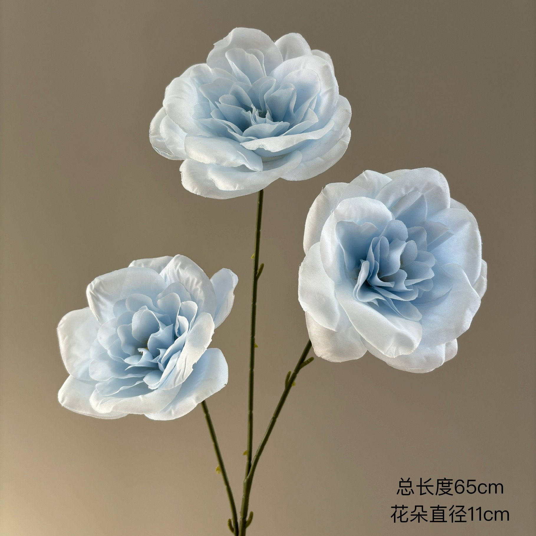 부의 꽃