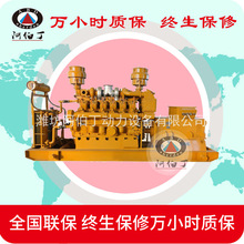 ��ֳ��400kw�ո���/ú��/ȼ��/���� ��Ȼ���������