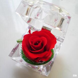������õ�廨������ �朽�ָ�Y�� �[���߼������˹��Y��羳���l