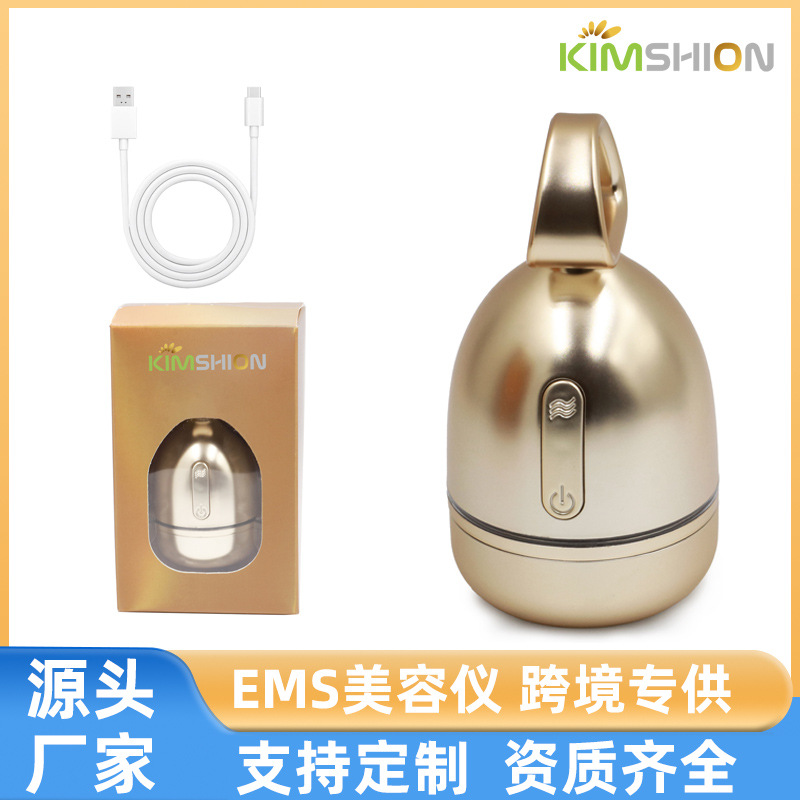 Home Beauty Equipment Facial Cleansing Massager Small Dumbbell Micro-Current Magnetic Introduction Device