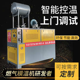 盐亿牌28万大卡燃气模温机燃气导热油炉导热油锅炉天然气天壁挂炉