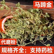 中药材 马蹄金 荷包草 黄胆草 小金钱草 螺丕草 小马蹄草化石草