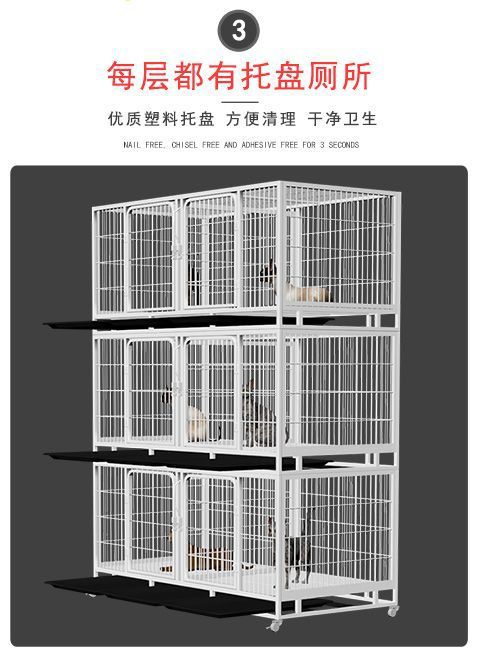 edecf9ba-423f-421b-8594-8fffbfa07d9d.jpe