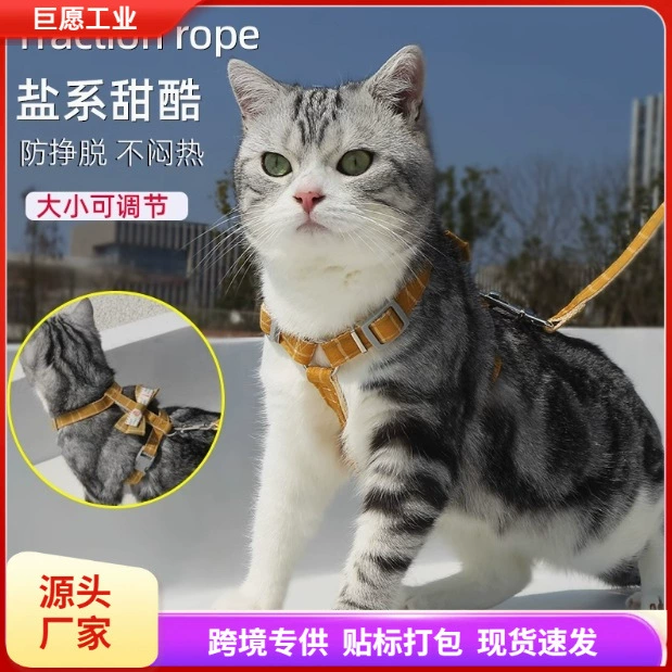 Кошачий буксирный трос для предотвращения отрывания Кошка выходит на улицу, чтобы предотвратить потерю кошачьей веревки