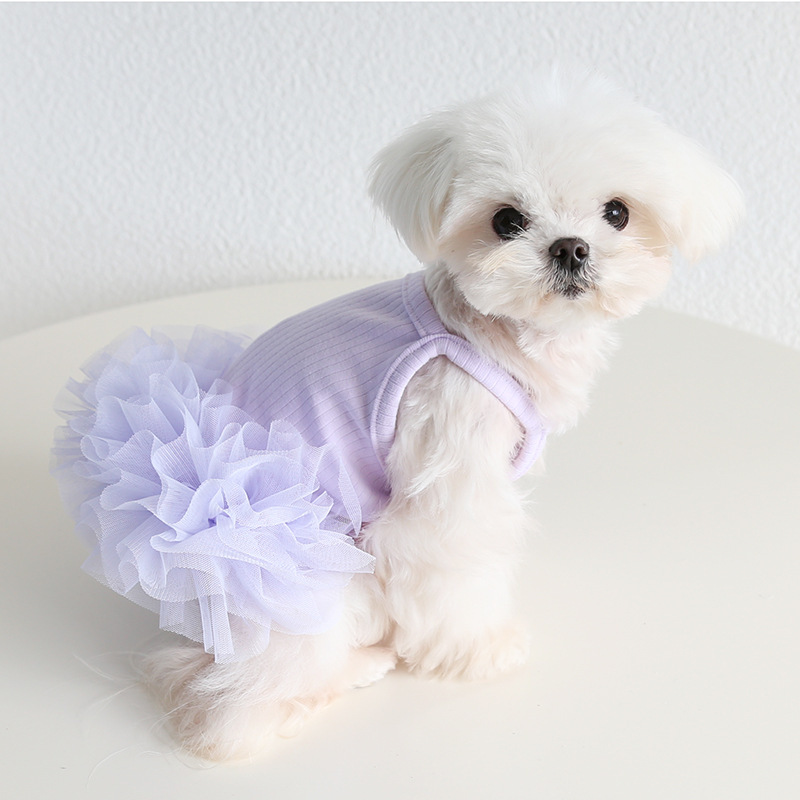 Petstyle elegante ballet tutu saia 2026 primavera e verão novas roupas para cães e gatos roupas para animais de estimação