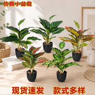 ���s�L����GֲС�����k���ҿ͏d�����b�ֲ���̈������쾰�[��