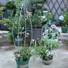 ���] �Wʽ�~��С�B���ټ� �͹����f�Fˇ�����{ѩ���F��ɏ�¼�֧��