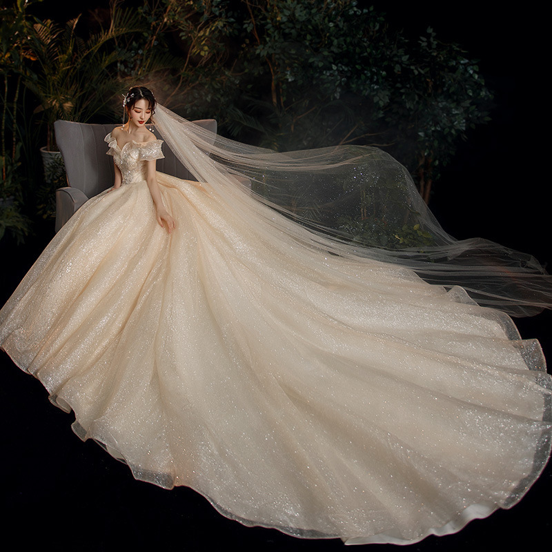 Starry Sky Pregnant Women Light Main Wedding Dress 2025 New Temperament Bride French Runaway Princess Casual and Atmospheric Trailing Super Fairy