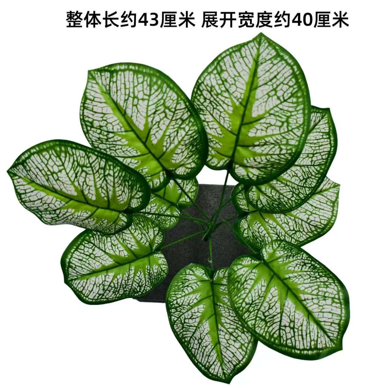 Nine-pronged large plant new model no. 31