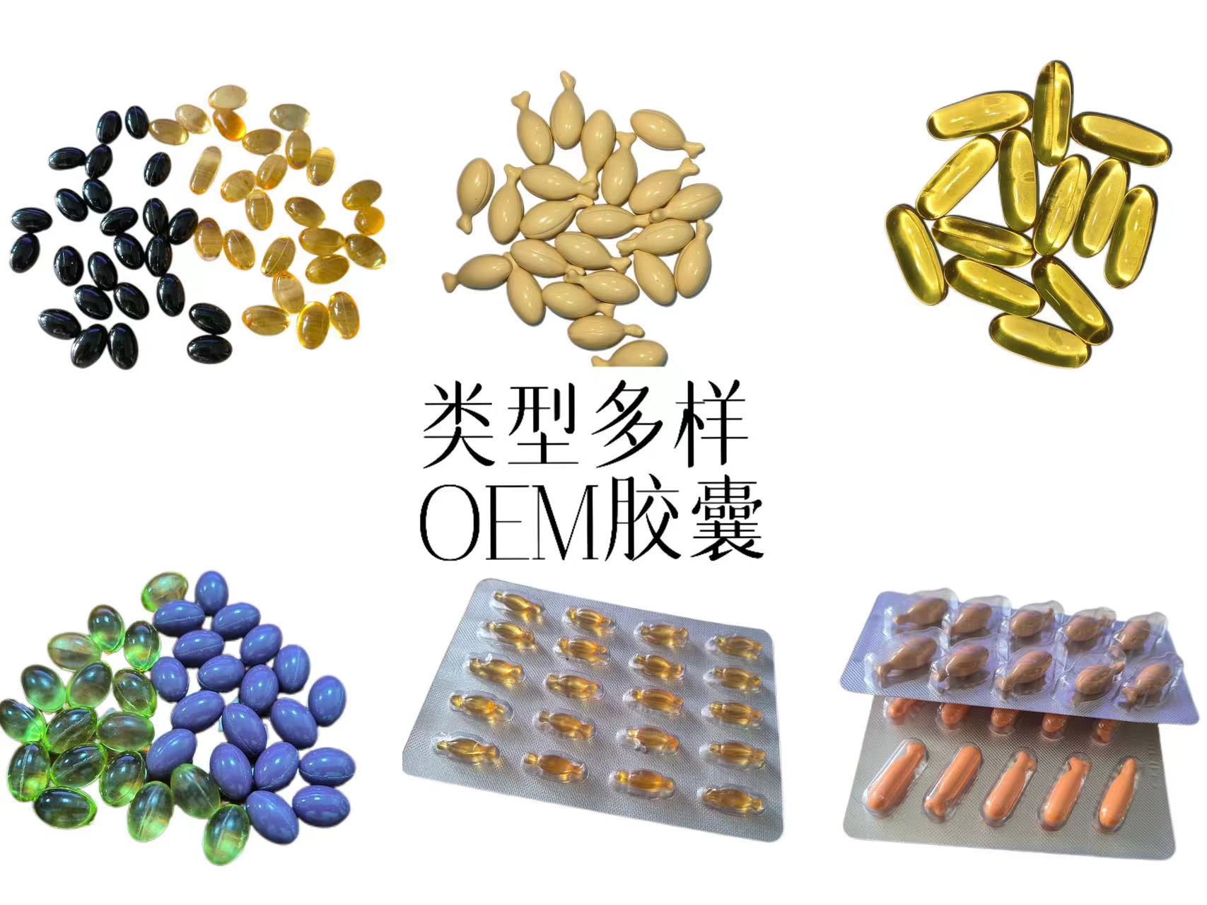 203889e72fc72c448558f6c4e50846