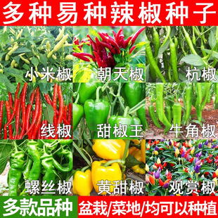 �����N�Ӵ�ȫ������С�������콷���˽��⽷�߲ʽ��ཷ���G�l�N��