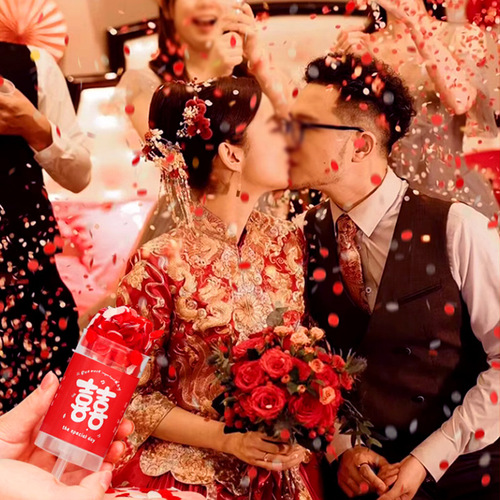 Small Salute Cannon Wedding Tui Tuile New Year Housewarming Party Birthday Firework Cannon Handheld Wedding Wholesale