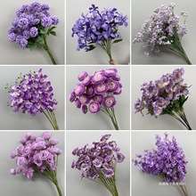 ΄ɫϵcٻӆYõbٻ·