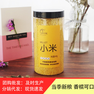 �ϱ��B�������¼ZС�����l���b�����׏S��ֱ�N�F؛������480g/��