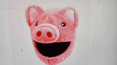 Motosiklet dəbilqələri and Women, Motorcycle Cartoon Plush - h-pink-pig