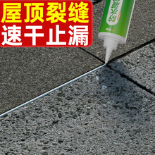 paɴuشup϶zˮ؏Nlgˮù֔D