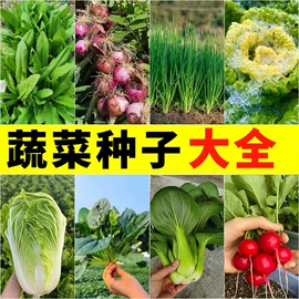 盆栽;其他园林资材;栽培基质