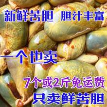 【猪胆汁】_猪胆汁品牌/图片/价格_猪胆汁批发_阿里巴巴