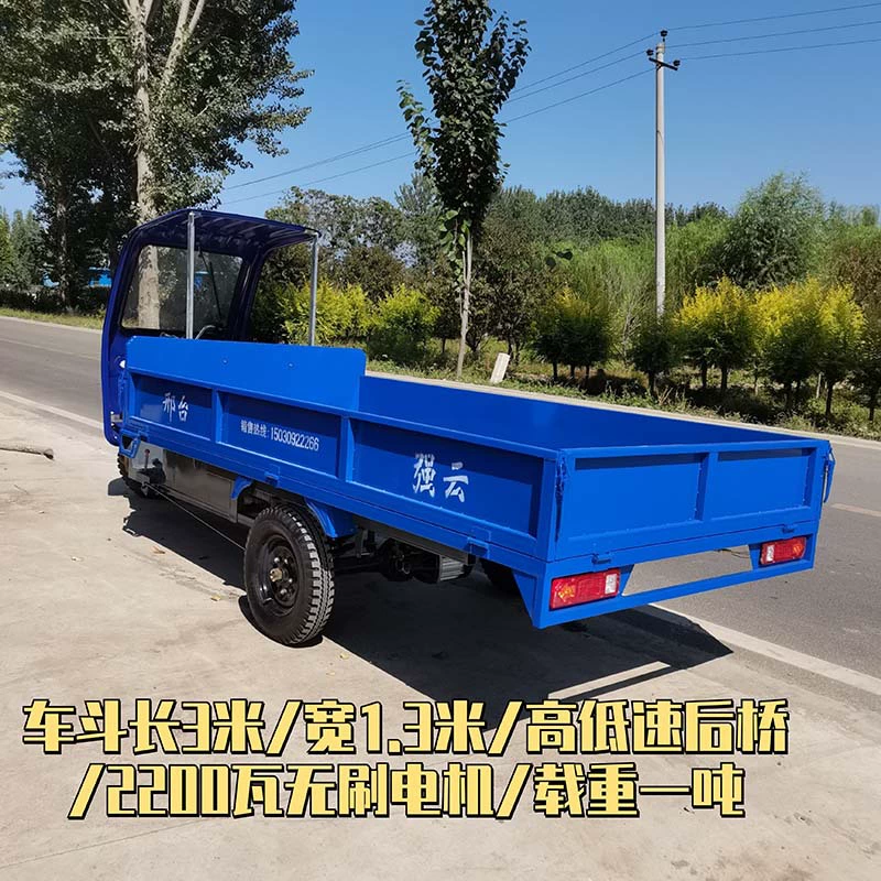 Сверхмощный Электрический трехколесный велосипед, удлиненный и расширенный планшетный мощный завод, транспортная техника, сельскохозяйственный Аккумуляторный автомобиль