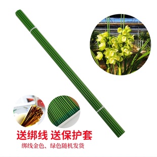20 Plant Support Poles, Flower Pillars, Money Tree Fixed Poles, Free Binding Wire Protective Cover, Solid Iron Wire Poles