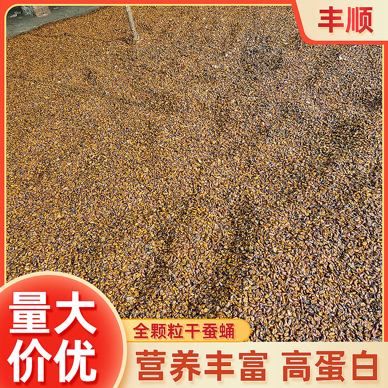 水产鱼虾蟹饲料蚕蛹 杭嘉湖水产饲料级干蚕蛹 鱼食鸟食干蚕蛹颗粒