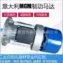 mgm意大利立式b5电机