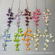 �ٻ���c���滨�L���m��Y���b������߻��đ����쾰�������컨