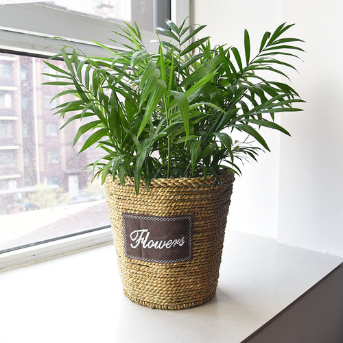 Nordic straw flower pots, rattan flower pots, extra large flower baskets, pothos rattan creative woven bamboo flower pots