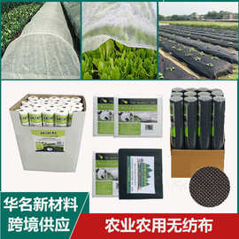 跨境热卖PP防寒无纺布 园艺覆盖防草布 保温防寒防霜冻育苗无纺布