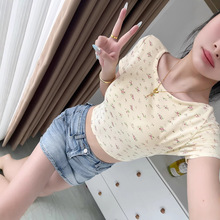 �r�������Ըм���ʳë������U���F�������Ԏ��؉|�ٴ�A�I����