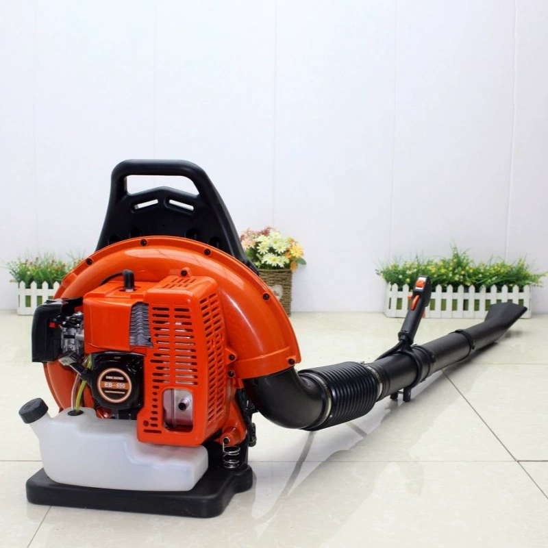 Рюкзак тепличный снегоуборщик бензиновый воздуходув двухтактный огнетушитель строительная площадка пылесос строительный специальный